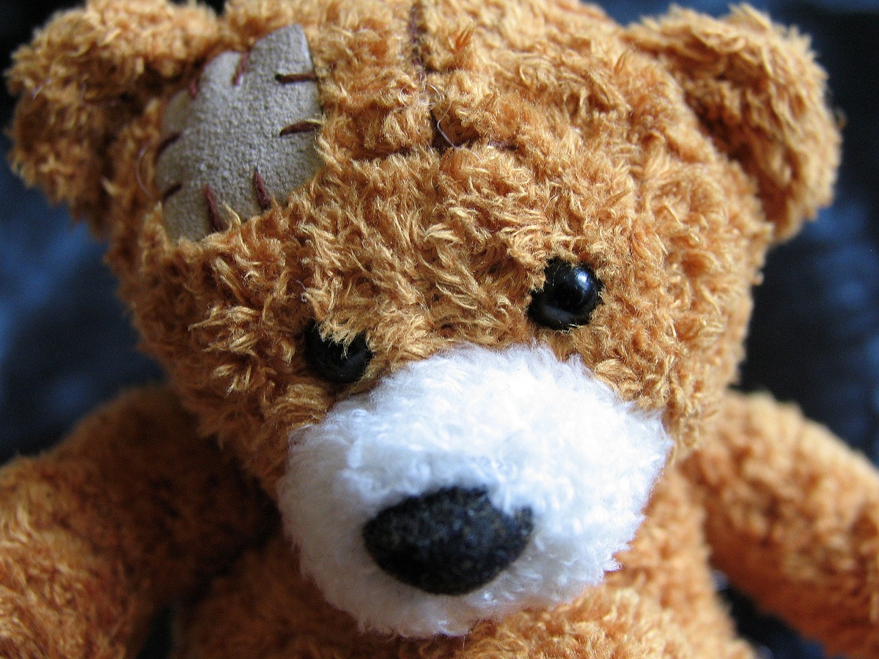 plush-teddy-bear-1082525_1280.jpg