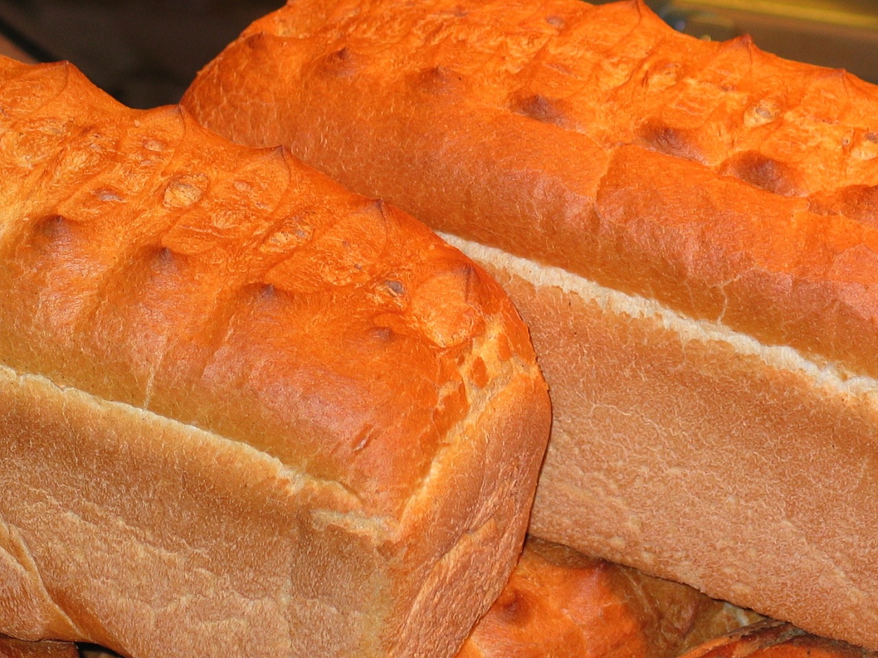 wheat-bread-1228592_1280.jpg